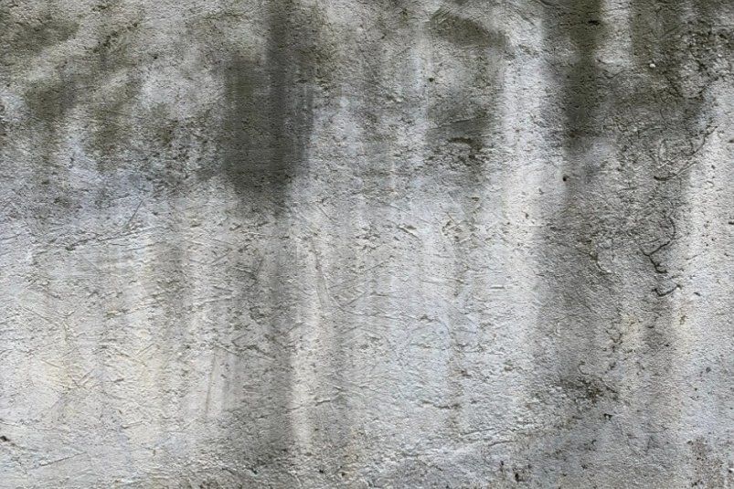 Влить 2 ложки на 100 мл. — и черная плесень останется лишь в воспоминаниях: 100% результат за гроши