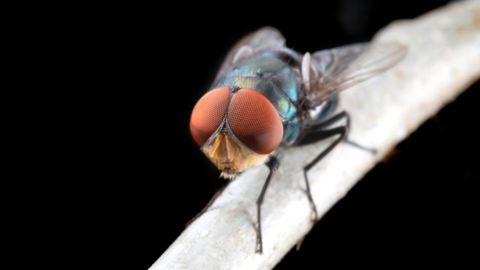 :   ,  ࠗ   