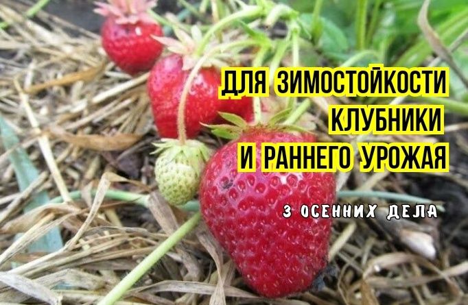     :      