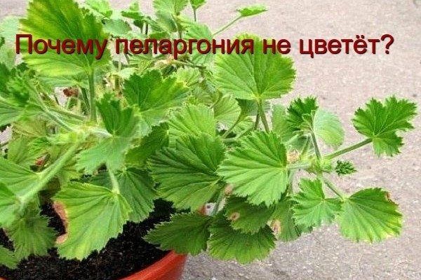 10 ,         