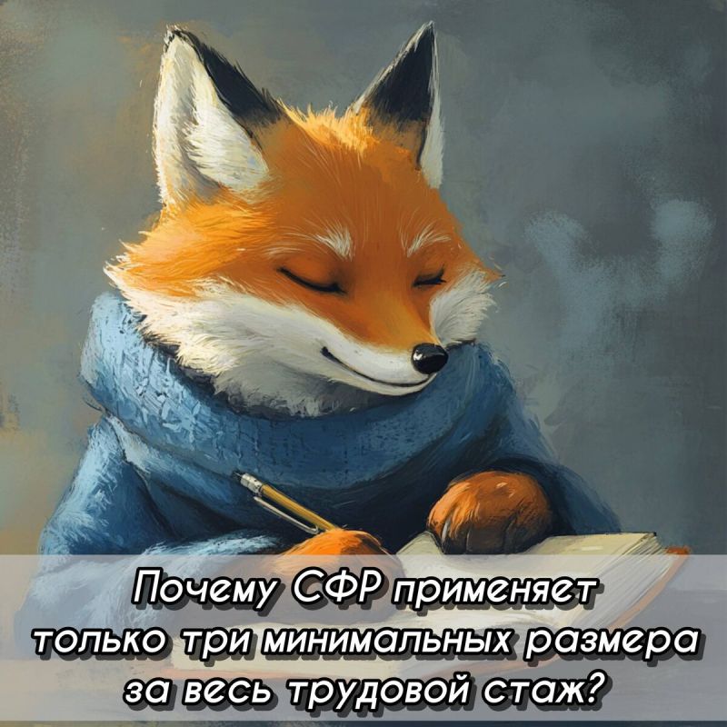    2025 :      