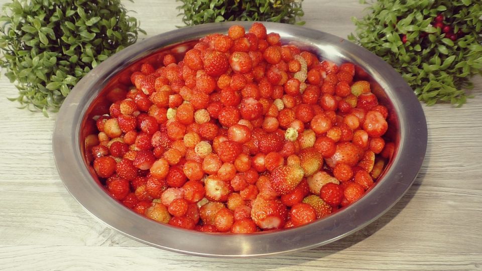    Wildberries    :     
