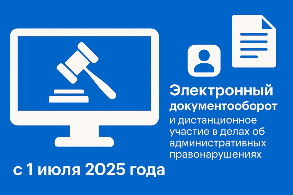     :      2025 