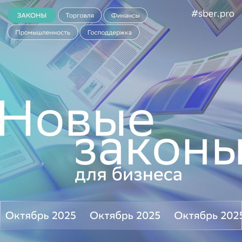    :    2025 
