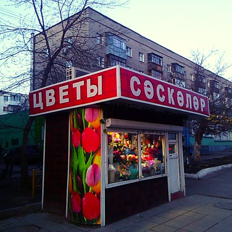 -5     :   