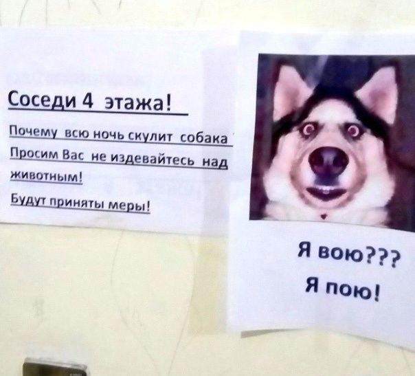       :  