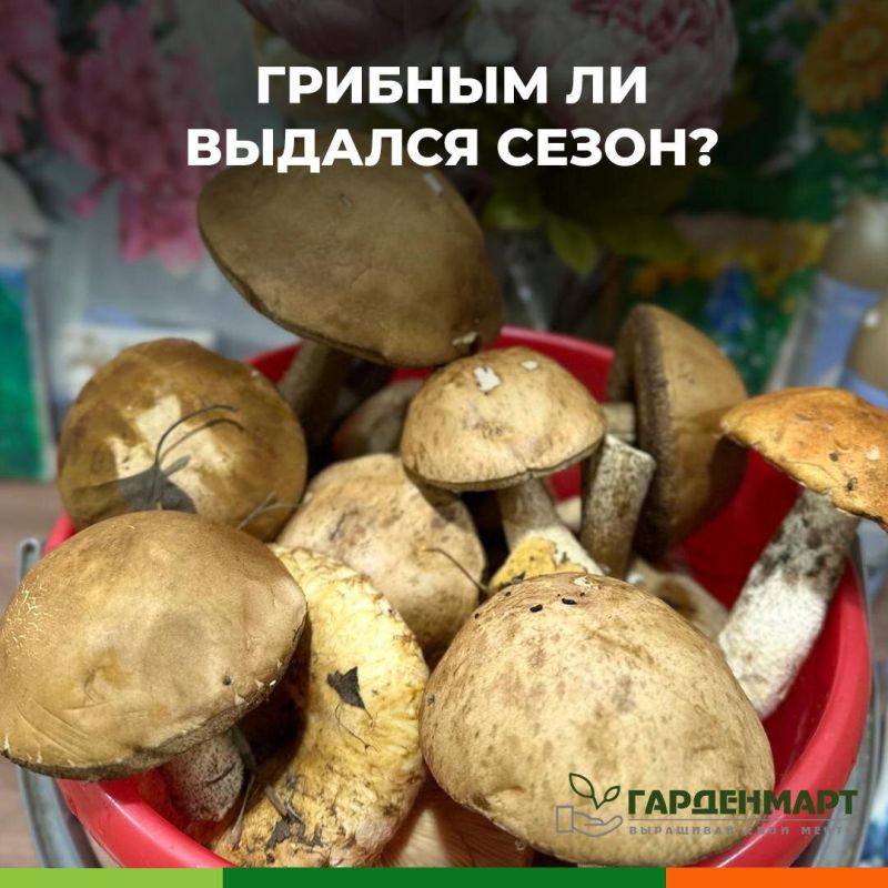  :      ?