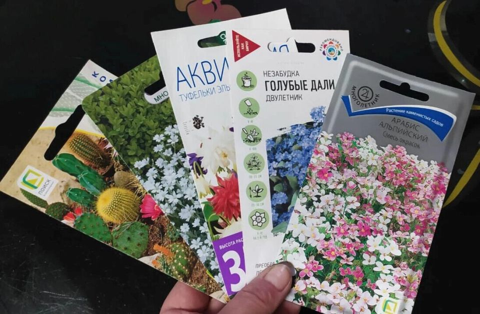 Цветы для рассады: выбор и благоприятные дни для посева в январе 2025 года