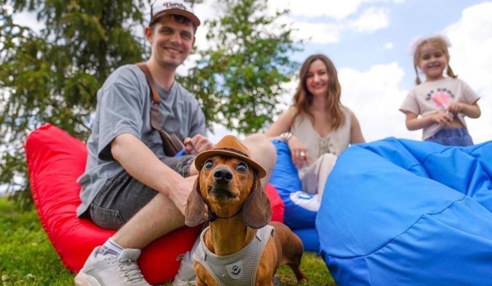 В России хотят установить лимиты на количество домашних животных в квартирах