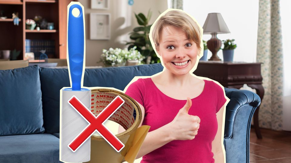 Без скотча и липкого ролика: вот как можно собрать шерсть с дивана за секунды