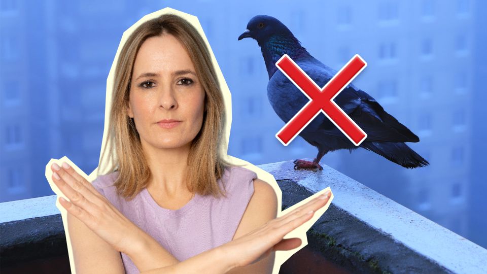 Голуби на ваш балкон больше не сунутся: отпугнуть птиц поможет это копеечное средство