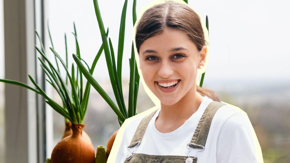 Даже земля не понадобится: хитрые садоводы выращивают на окне лук только так