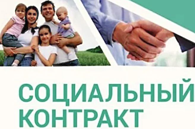 Как получить 200 тысяч рублей от государства на подсобное хозяйство