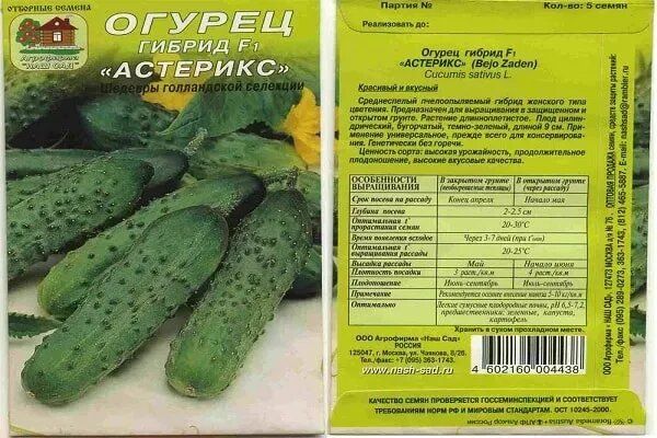Огурцы Астерикс: секреты успеха и неповторимый вкус
