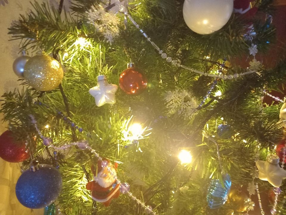 Как просто и экономно отпраздновать Новый год: баня, шашлыки и семейный уют