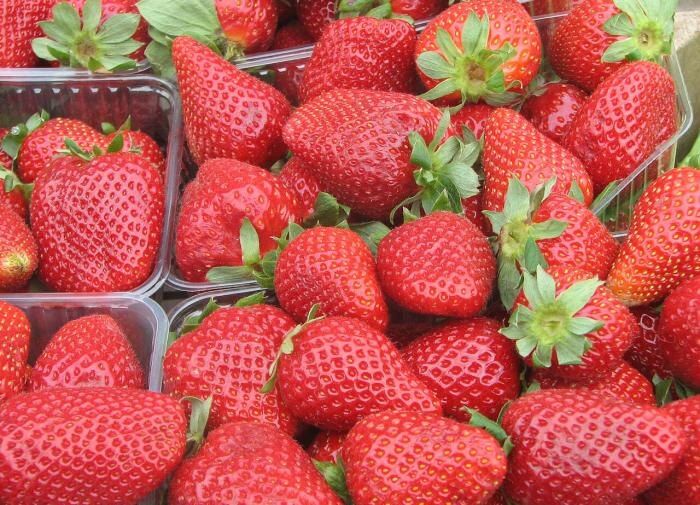 Как сохранить урожай клубники: советы по уходу после сбора ягод