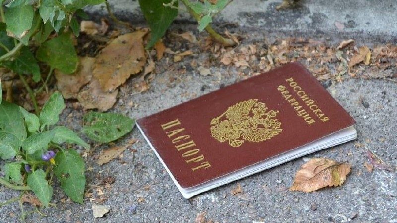 Потерянный паспорт: неожиданные последствия через 20 лет