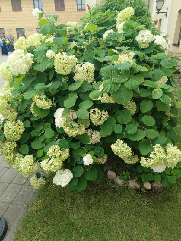 Как развод изменил жизнь матери и сына: неожиданные уроки любви и прощения