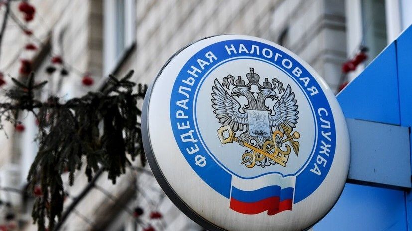 Как налоговая служба раскрывает тайные доходы граждан: секреты ФНС