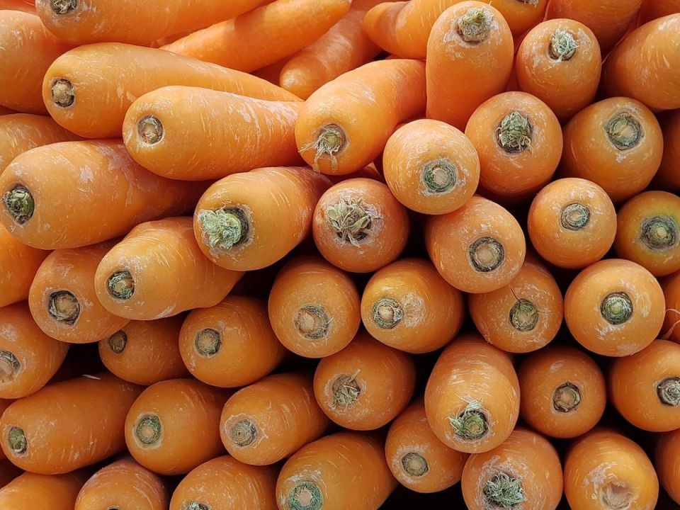Секреты идеальной моркови: как простая смесь удобрений обеспечит крупный и сладкий урожай