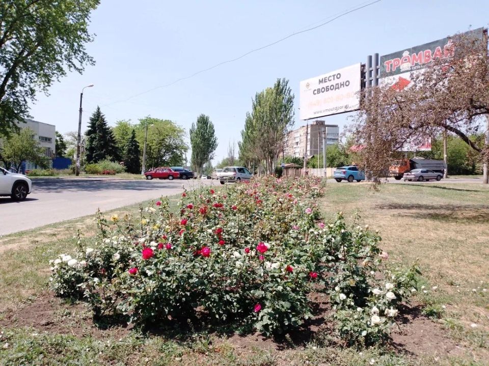 Неожиданные приключения в пенсионном фонде