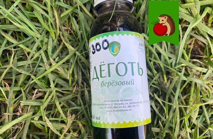 Удивительные свойства березового дегтя в садоводстве