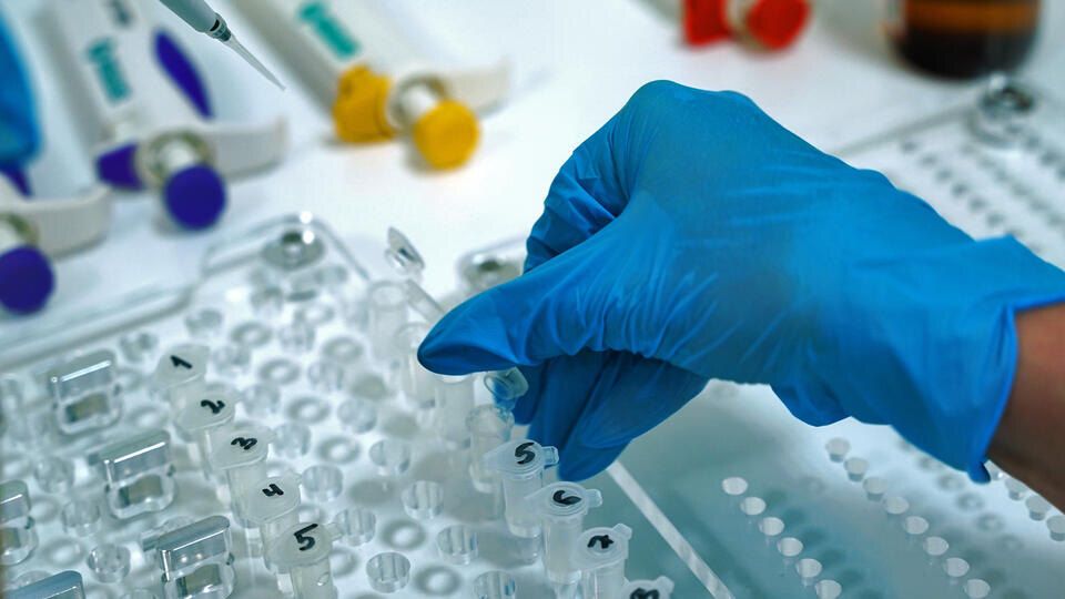 Правительство вводит запрет на экспорт генетических данных россиян