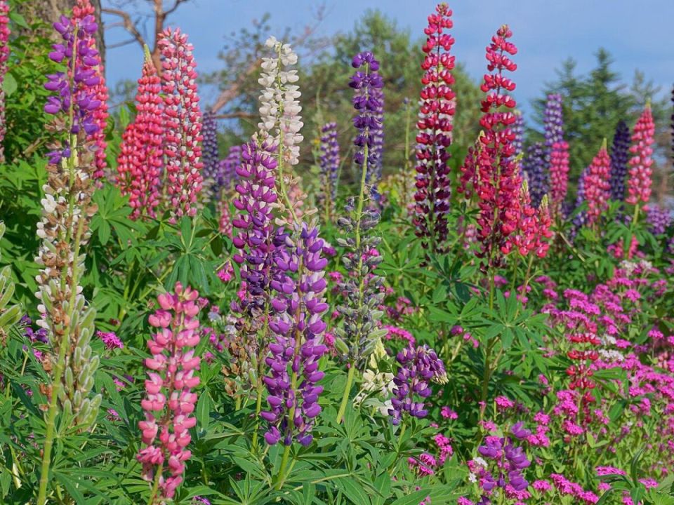 �� ������ ������� �����: �������, ����� � ���������� ��������� ��������� ��������