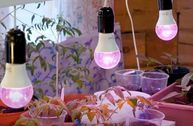 ��� ������� ��������� ��������� ��� ������� � �������� ��������