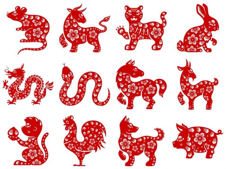 ����� ������ ���������� �������, ������� � ����� � �������� � 2025 ����