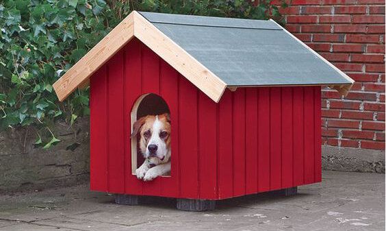 ��� ������� ��������� ������� �����: �� �������� �� ����