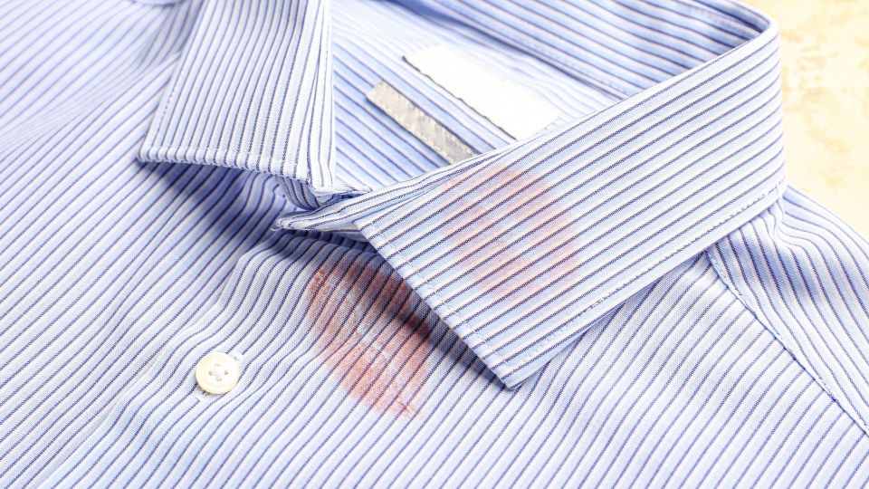 ����� ������� ������ ����� ������ ������: ������� ��� ��������� ��������