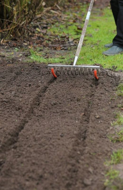 Белый налет на грядках: как прочитать послание природы