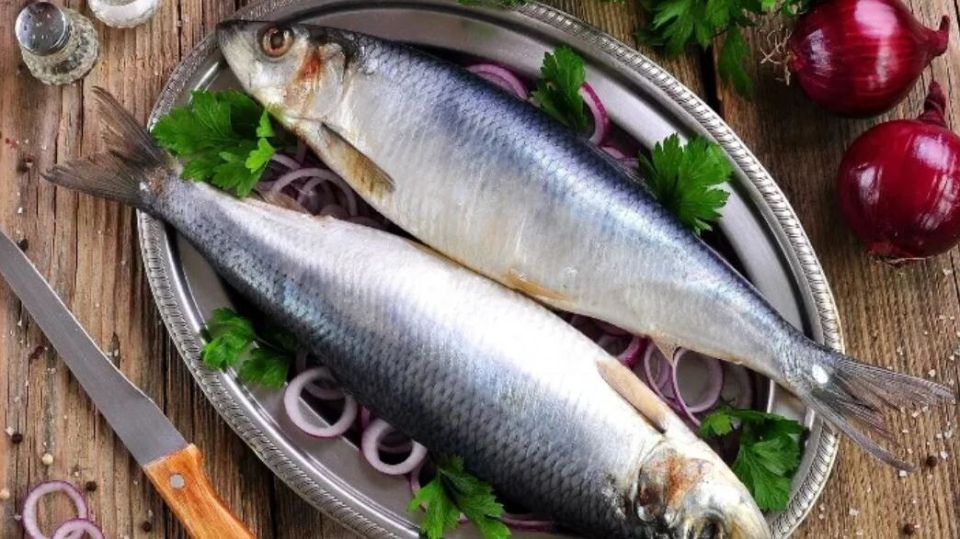 ������: ����� ������ �� ������ �������