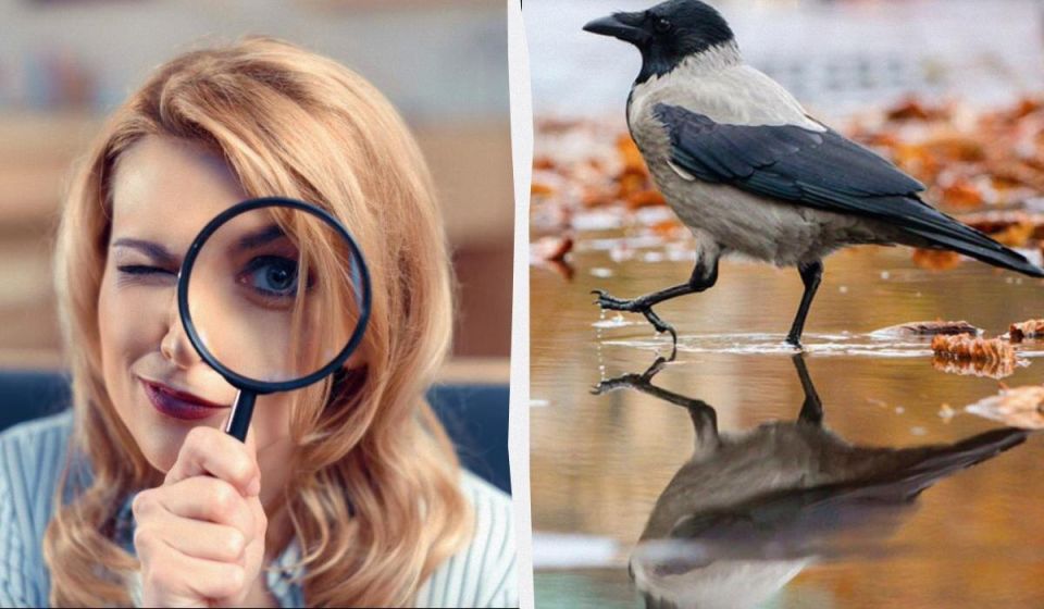 �������� �� ��������������: ������� ������� �� 12 ������!