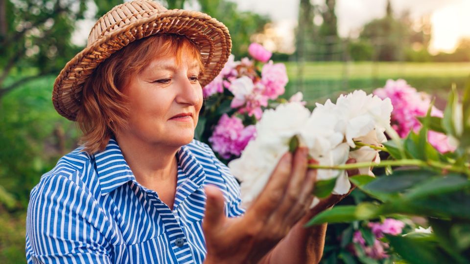 ������� ������������ �������� ����� ������: ������� �� ���� �������� �������