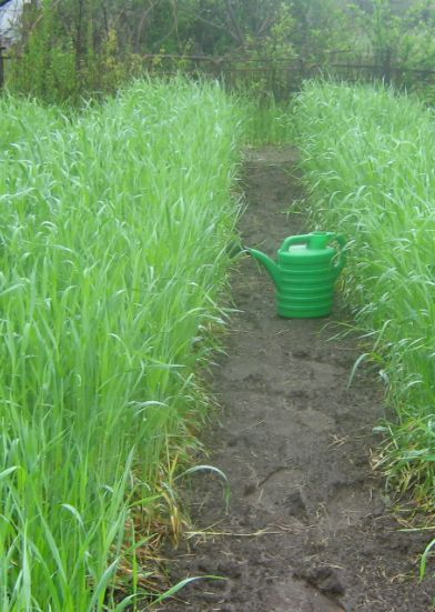 ��� �������� ����� ������ ���������� � ������������� �� ����� �������