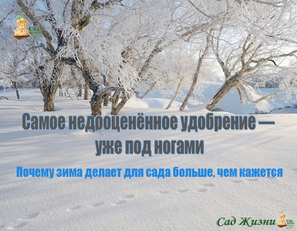 ����: ���������� ���������, �������� ������������ ��� ���