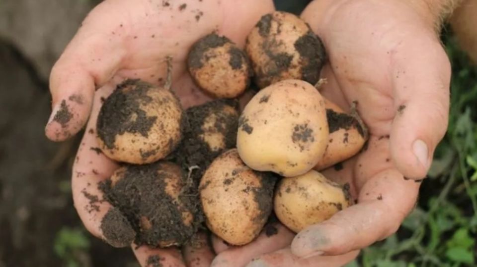 ��� ������� ��������� ����� �����: ��� ������, ������� ������� ������