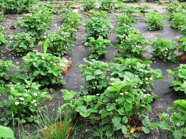 ���� �������� ��������� �������� ��������, ������� �������� �������� ������ ������