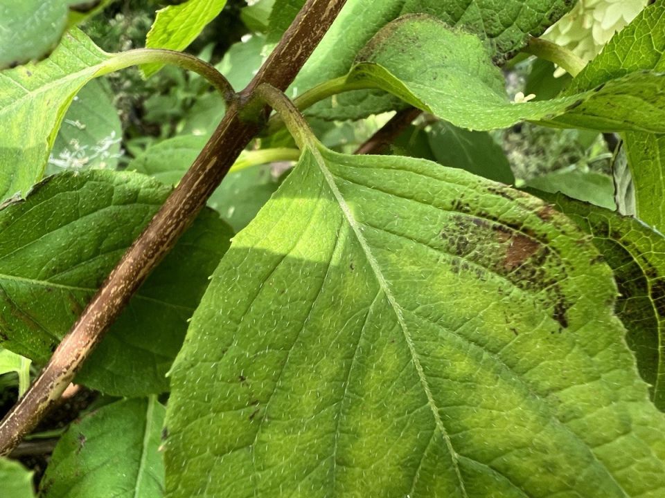 ������ �� ����������: ������� � ������� ������� ��� ��������� ����� �������