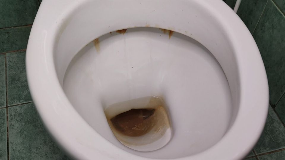 ��� ���������� � ��������� � ������� � ������� � ������� ����� ��� ������ ������