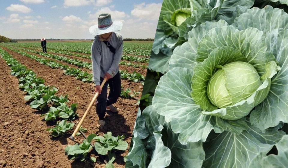 ��� ������, ��� ������� ������� � ������ � ������