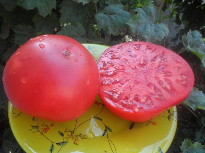 ����� ���������� ����: ������������ ����������� �� ����������� �������������� ����� � �������