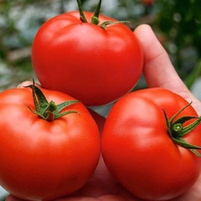 ����� ������: ��������� ���������� ������������ � ����� �� ������ �������