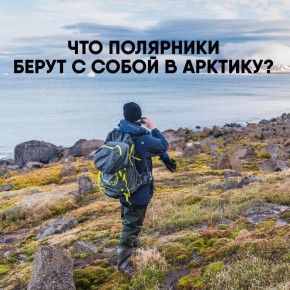  ,   :     ?     