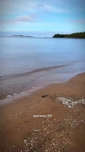     ?  ,    