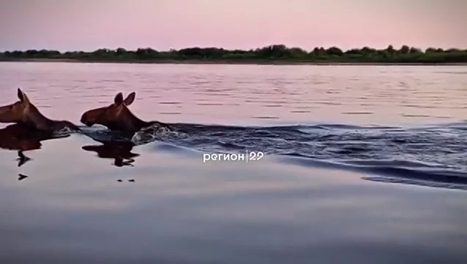   ,     ?  ,      