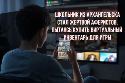 В полицию Архангельска обратилась местная жительница 1981 г.р. и рассказала, что её 16-летний сын в мессенджере увидел рекламу интернет-магазина, продающего различный инвентарь для онлайн-игр