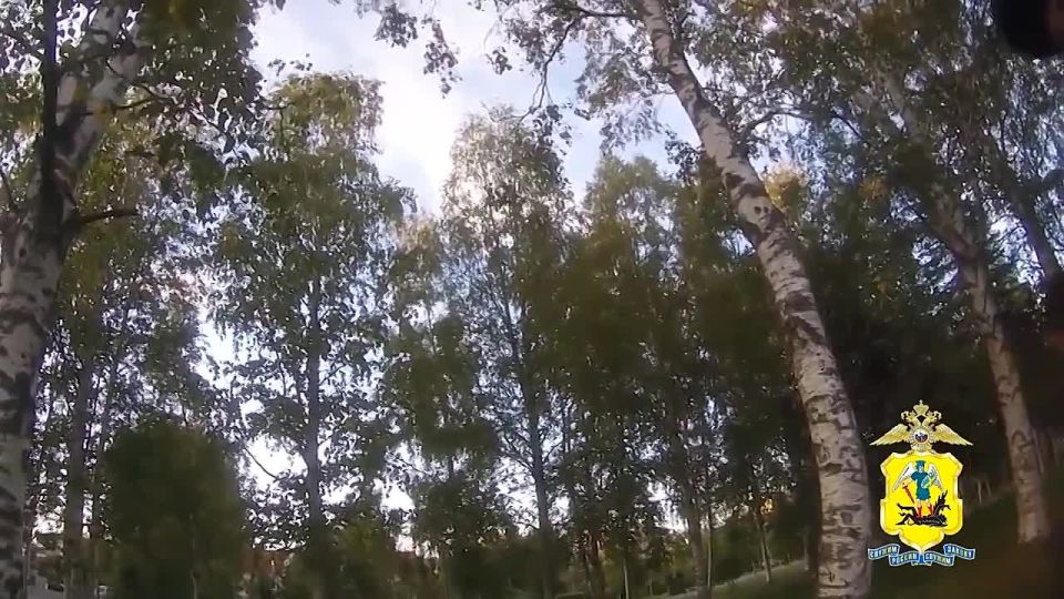        300   